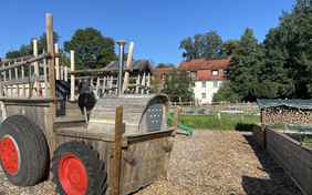 Herzliche Gastgeber, Streichelzoo und Abenteuerspielplätze - hier fühlen sich Familien wohl!